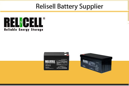 RELICELL Battery